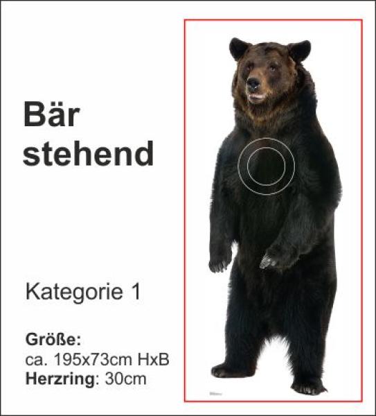 Bär stehend